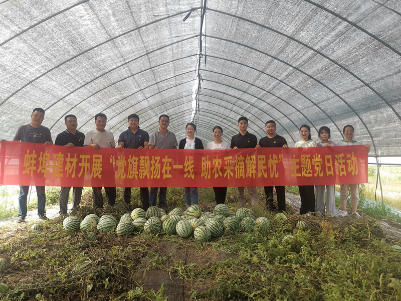 我為群眾辦實(shí)事｜蚌埠建材開(kāi)展“黨旗飄揚在一線(xiàn) 助農采摘解民憂(yōu)”主題黨日活動(dòng)-8.18.jpg