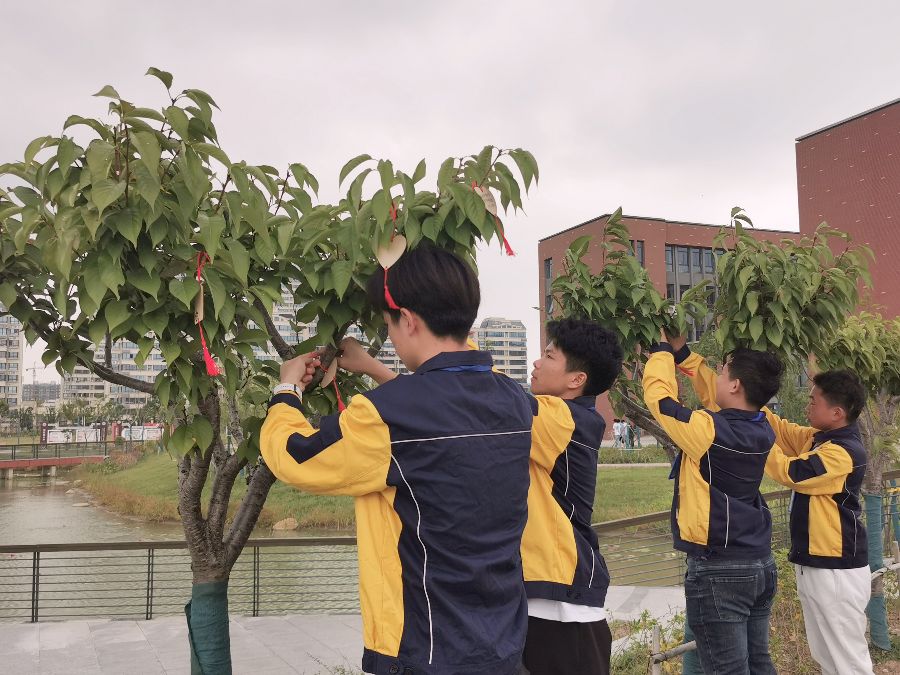 a1663296835740.jpg a1663296835740.jpg