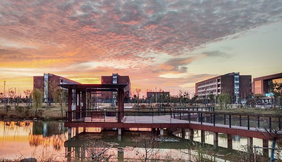 調整大小 姜海童-2019級汽車(chē)維修五年高級水湖3班.jpg