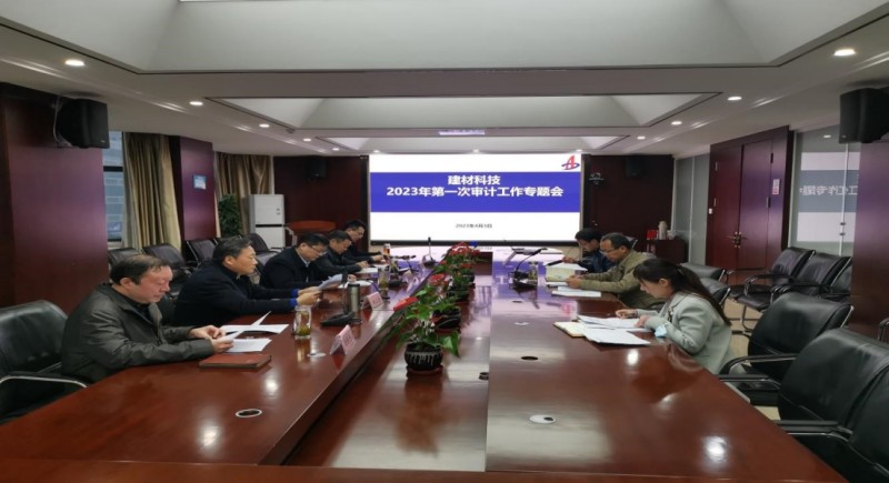 審計會(huì )議1_副本.jpg