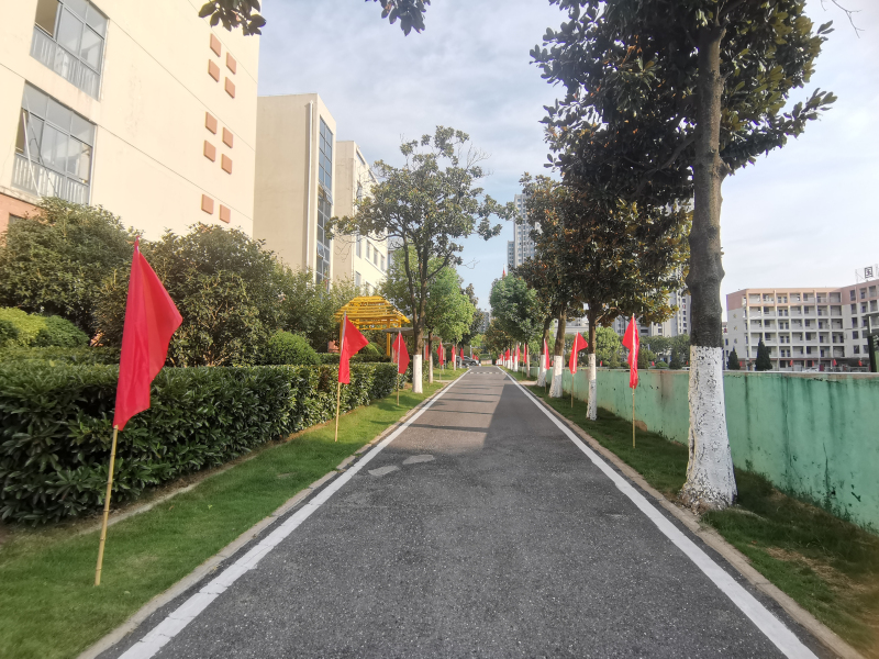 IMG_20230818_171047_編輯.jpg IMG_20230818_171047_編輯.jpg