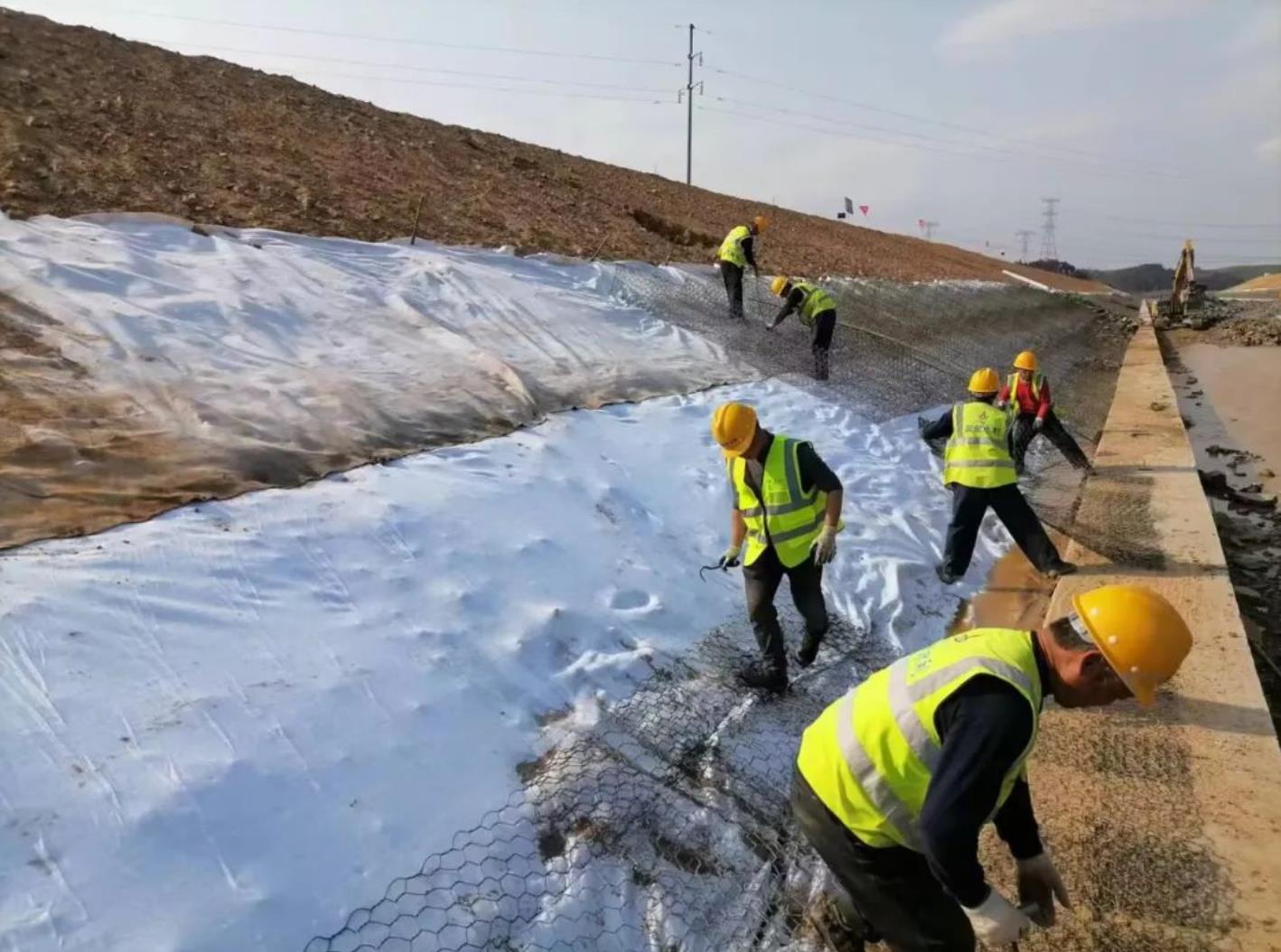 1708300693484045.jpg 11.jpg