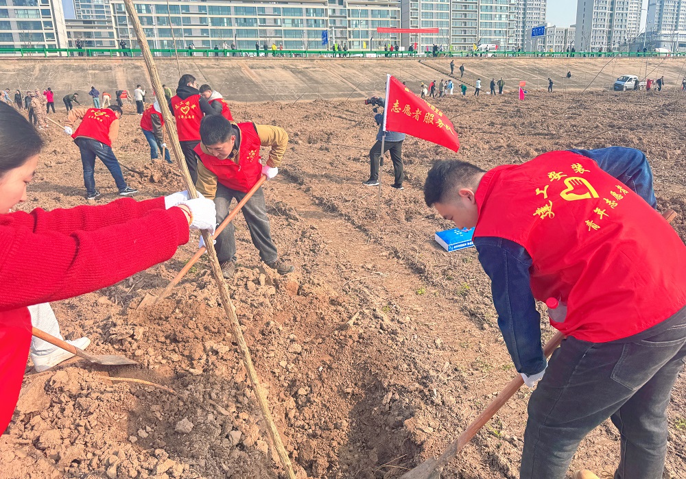 2024-03-12 134632.jpg