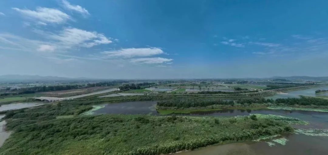 1719305093995702.jpg 640 (1)_副本.jpg