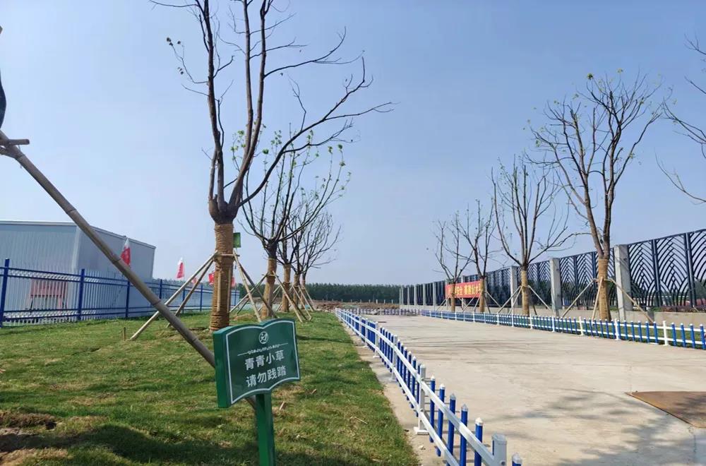 1720534597133883.jpg 3.jpg