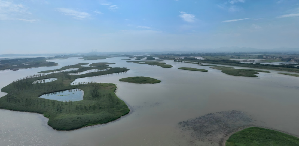 1747010857912359.png 2.png